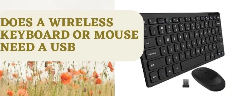 Does A Wireless Keyboard Or Mouse Need A USB How To Connect